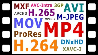 Explaining Digital Video Formats Codecs amp Containers [upl. by Dickey532]