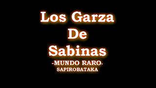 MIX  LOS GARZA DE SABINAS chicanas VOL 1 [upl. by Alaaj135]