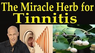 The Miracle Herb for Tinnitus  Dr Mandell [upl. by Atinna]