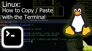 How to CopyPaste with the Terminal Linux Tutorial [upl. by Melc904]