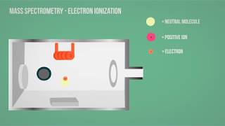 MS  Mass Spectrometry  Electron Ionization Animation [upl. by Lucio]