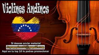 Violines Andinos [upl. by Ijuy835]