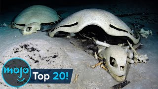 Top 20 Creepiest Things Found in the Ocean [upl. by Karel]