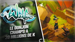 Donjon Champs lvl 50  la DINGUERIE [upl. by Mcdonald377]