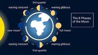 Learn the 8 Phases of the Moon [upl. by Hassadah]