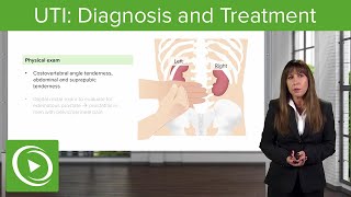 UTI Diagnosis and Treatment – Nephrology  Lecturio [upl. by Ylehsa]