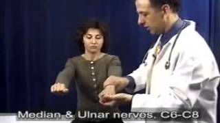 Neurological Physical Examination [upl. by Adirf]