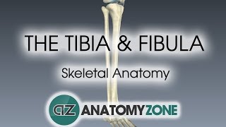 How to Recover Quickly From Broken Leg Fractured Tibia  Fibula ORIF Surgery [upl. by Eltsirhc456]