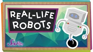 RealLife Robots [upl. by Dovev]