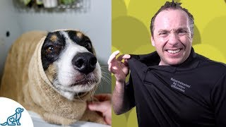 Simple Hacks To Bath Your Dog  Professional Dog Training Tips [upl. by Jenna227]