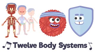 Twelve Body Systems Song [upl. by Linoel]