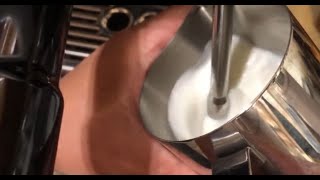 Beginners Guide to Froth Milk  Breville Barista Pro [upl. by Giff248]