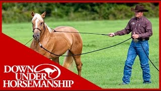 Clinton Anderson Training a Rescue Horse Part 1  Downunder Horsemanship [upl. by Acinemod357]