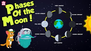 Phases Of The Moon  Why Does The Moon Change Its Shape  Space  Dr Binocs Show  Peekaboo Kidz [upl. by Suehtomit]