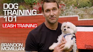 Dog Training 101 Leash Training  Brandon McMillan [upl. by Laira]