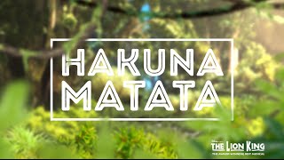 Hakuna Matata  Disneys THE LION KING Official Lyric Video [upl. by Niven]