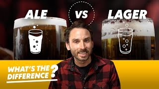 Ale vs Lager Beer — Whats the Difference [upl. by Rey]