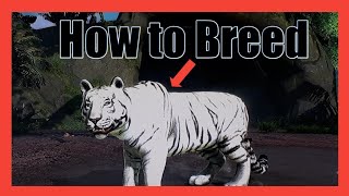 How to Breed animalsZoo Tycoon [upl. by Heyde]