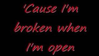 Broken Seether Lyrics [upl. by Anahsahs530]