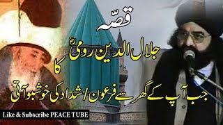 Peer Naseer ud Din Naseer  Story of Jalaluddin Rumi  Peace Tube [upl. by Helbonnas930]