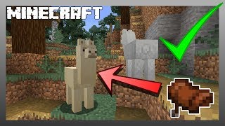 MINECRAFT  How to Get a Llama Saddle 1151 [upl. by Sofer]