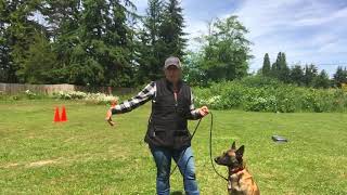 How to use a Long Line when Training Your Dog [upl. by Zaria]