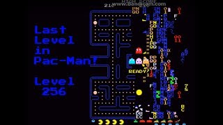 PacMan Level 256 the last level in the game [upl. by Nyvlem]