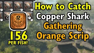 Copper Shark  Orange Gathering Scrip fish  FF14 Dawntrail [upl. by Chambers]