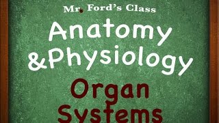 Introduction To Anatomy Physiology Organ Systems 0104 [upl. by Danete]