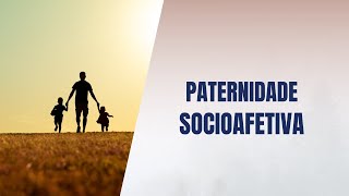 Paternidade socioafetiva [upl. by Nero887]