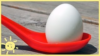 EAT  Foolproof Hardboiled Egg Recipe and How to [upl. by Aloysius]