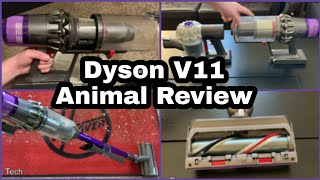 Dyson V11 Animal Review  Cordless Vacuum Demo [upl. by Eimmat]