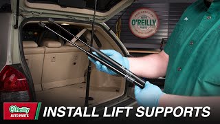 How To Install Tailgate Lift Supports On Your Vehicle [upl. by Ahseiuqal]