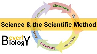 Scientific Method updated [upl. by Germaine]