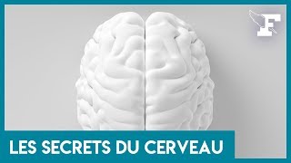 Comment fonctionne notre mémoire  Un neurologue répond [upl. by Ahsitaf]