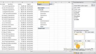 Excel 2010  Creating Pivot Tables [upl. by Bully]