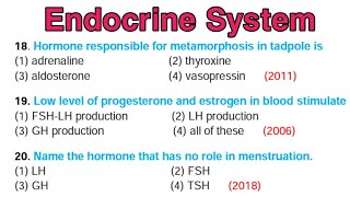 Endocrinology  Endocrine system mcq  Part 2 [upl. by Viccora]