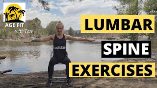 Lumbar Spondylosis Exercises [upl. by Robison396]