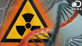 How Radiation Changes Your DNA [upl. by Heber]