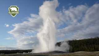 Old Faithful Geyser in Yellowstone National Park [upl. by Cohla533]