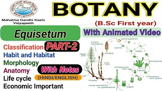 Equisetum life cycleReproductionEconomic Importance of EquisetumPart2 [upl. by Ytirehc943]