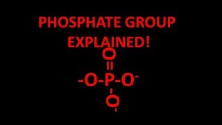 Phosphate functional group explained [upl. by Pawsner570]