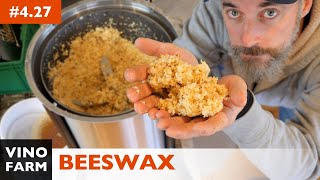 Beeswax and Honey Harvest  Using a Wax Spinner [upl. by Ariamat]