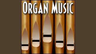 Music Organ Circus  1810 Circus Pipe Organ Circus Song Arcade Music Organ Music [upl. by Idnerb]