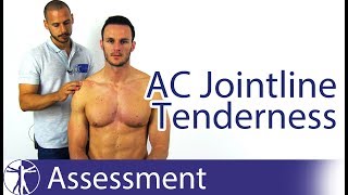 AC Joint Line Tenderness  Acromioclavicular Joint Pathology [upl. by Herrle]