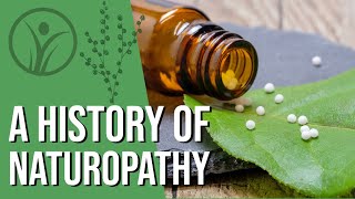 What is Naturopathy  History explained [upl. by Ecargyram498]