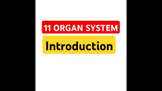 11 Organ System Introduction [upl. by Cornelius]