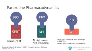 Paroxetine  Psychopharmacology [upl. by Alleb]