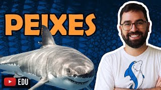 Peixes  Aula 28  Módulo VI Zoologia  Prof Gui [upl. by Gasperoni]