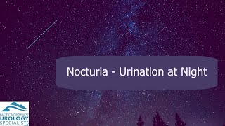 Nocturia  Frequent Urination at Night  Dr Rudi Hayden [upl. by Ahseer129]